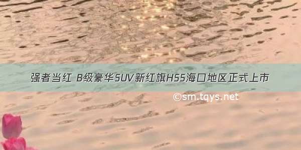 强者当红 B级豪华SUV新红旗HS5海口地区正式上市