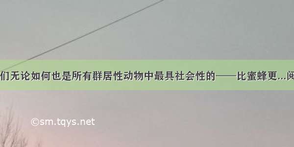 虽然我们无论如何也是所有群居性动物中最具社会性的——比蜜蜂更...阅读答案