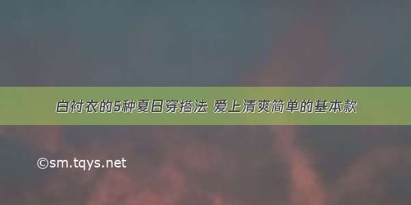 白衬衣的5种夏日穿搭法 爱上清爽简单的基本款