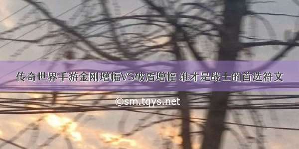 传奇世界手游金刚增幅VS破盾增幅 谁才是战士的首选符文