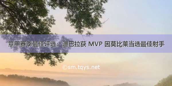 意甲赛季最佳评选：迪巴拉获 MVP 因莫比莱当选最佳射手