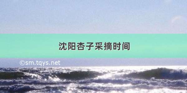 沈阳杏子采摘时间