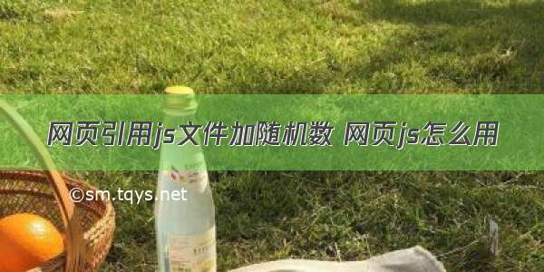 网页引用js文件加随机数 网页js怎么用