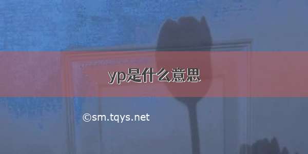 yp是什么意思