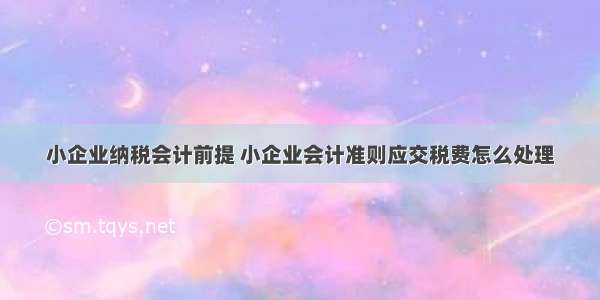 小企业纳税会计前提 小企业会计准则应交税费怎么处理