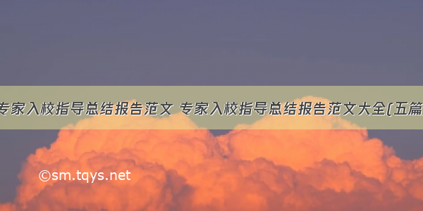 专家入校指导总结报告范文 专家入校指导总结报告范文大全(五篇)