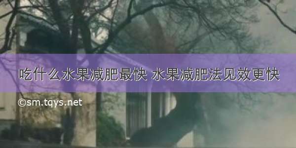 吃什么水果减肥最快 水果减肥法见效更快