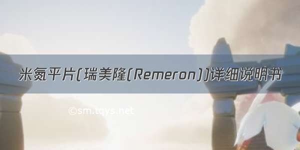 米氮平片(瑞美隆(Remeron))详细说明书