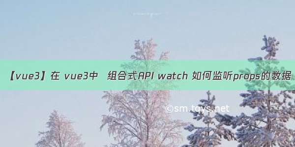 【vue3】在 vue3中  组合式API watch 如何监听props的数据