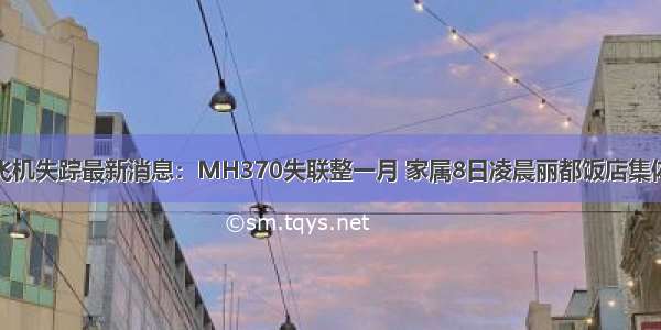 马航飞机失踪最新消息：MH370失联整一月 家属8日凌晨丽都饭店集体祈福