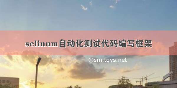 selinum自动化测试代码编写框架