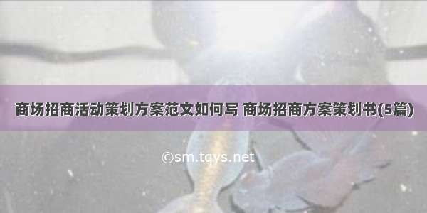 商场招商活动策划方案范文如何写 商场招商方案策划书(5篇)