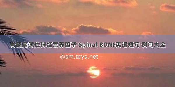 脊髓脑源性神经营养因子 Spinal BDNF英语短句 例句大全