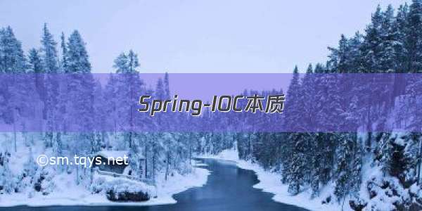 Spring-IOC本质