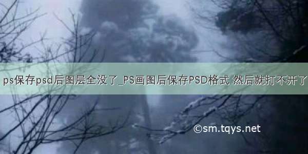 ps保存psd后图层全没了_PS画图后保存PSD格式 然后就打不开了