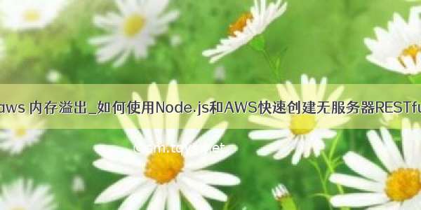 node aws 内存溢出_如何使用Node.js和AWS快速创建无服务器RESTful API