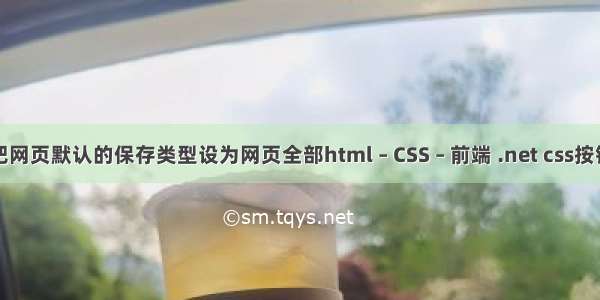 如何把网页默认的保存类型设为网页全部html – CSS – 前端 .net css按钮居中