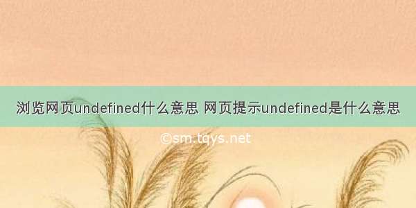 浏览网页undefined什么意思 网页提示undefined是什么意思