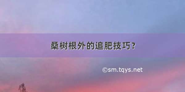 桑树根外的追肥技巧？