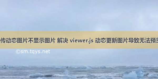 html上传动态图片不显示图片 解决 viewer.js 动态更新图片导致无法预览的问题