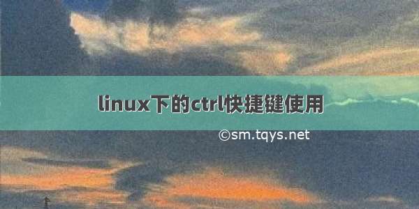 linux下的ctrl快捷键使用