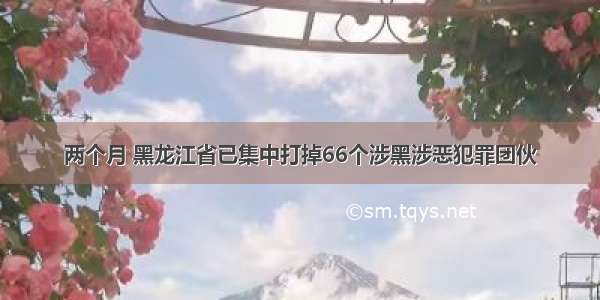 两个月 黑龙江省已集中打掉66个涉黑涉恶犯罪团伙