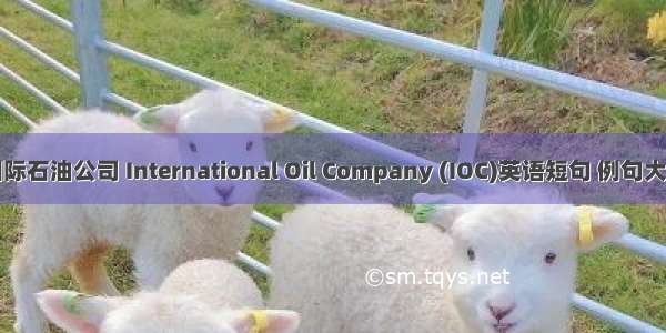 国际石油公司 International Oil Company (IOC)英语短句 例句大全