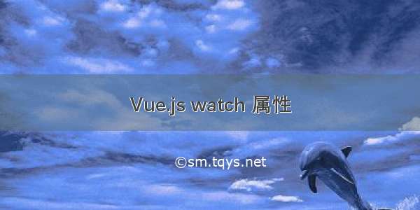 Vue.js watch 属性