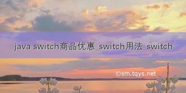 java switch商品优惠_switch用法_switch