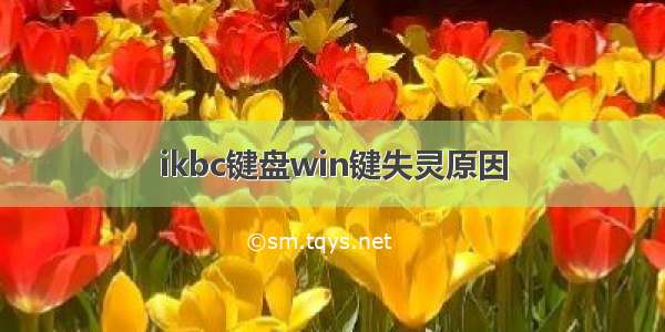 ikbc键盘win键失灵原因