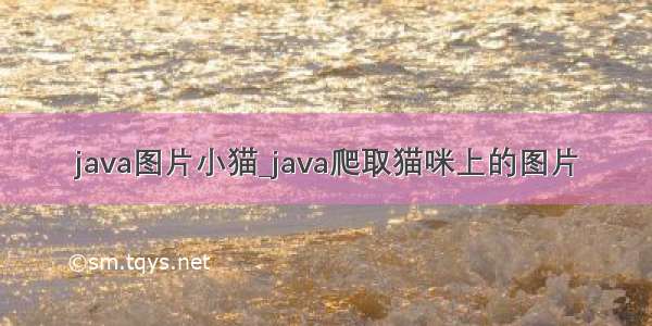 java图片小猫_java爬取猫咪上的图片