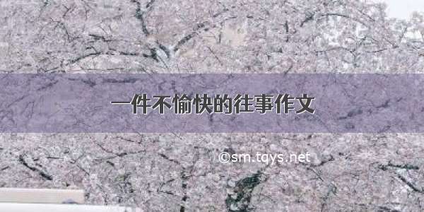 一件不愉快的往事作文