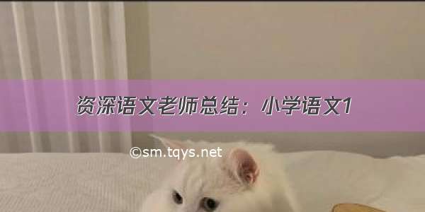 资深语文老师总结：小学语文1