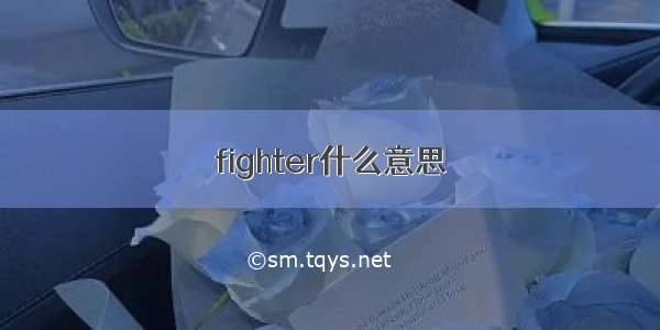 fighter什么意思