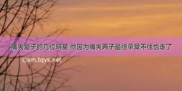 痛失爱子的几位明星 他因为痛失两子最终承受不住也走了