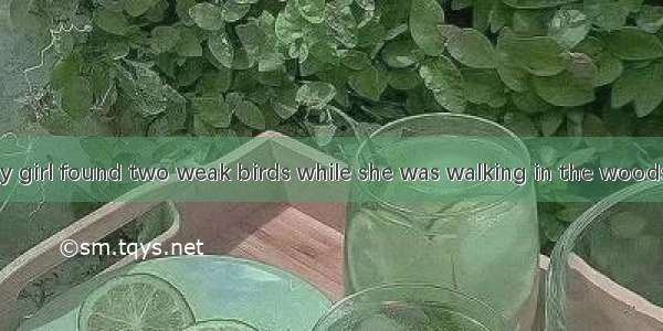 One day a lonely girl found two weak birds while she was walking in the woods(树林).She took