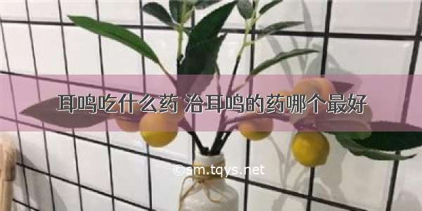 耳鸣吃什么药 治耳鸣的药哪个最好