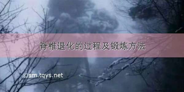 脊椎退化的过程及锻炼方法