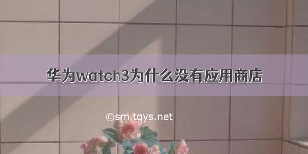 华为watch3为什么没有应用商店