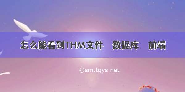 怎么能看到THM文件 – 数据库 – 前端