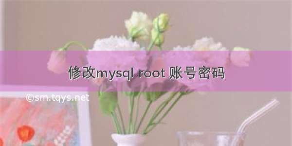 修改mysql root 账号密码