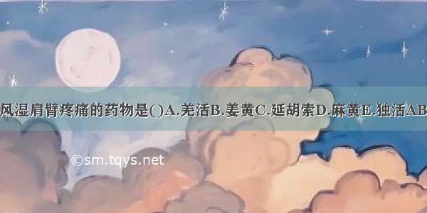 善治风湿肩臂疼痛的药物是()A.羌活B.姜黄C.延胡索D.麻黄E.独活ABCDE