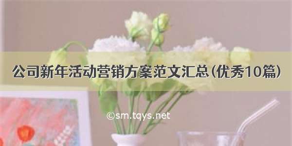 公司新年活动营销方案范文汇总(优秀10篇)