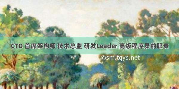 CTO 首席架构师 技术总监 研发Leader 高级程序员的职责