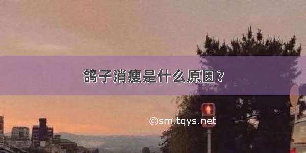 鸽子消瘦是什么原因？