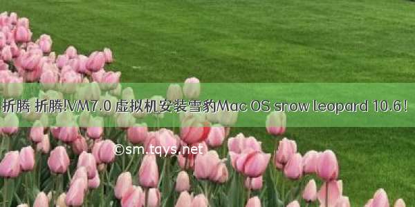 折腾 折腾!VM7.0 虚拟机安装雪豹Mac OS snow leopard 10.6！