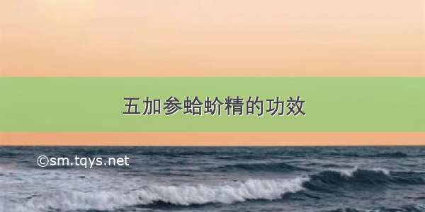 五加参蛤蚧精的功效