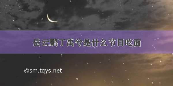 岳云鹏丁禹兮是什么节目吃面