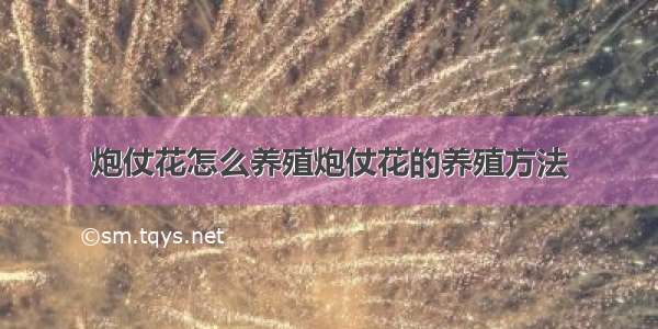 炮仗花怎么养殖炮仗花的养殖方法