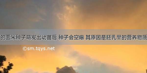 春季播种下的玉米种子萌发出幼苗后 种子会空瘪 其原因是胚乳里的营养物质A.被土壤中